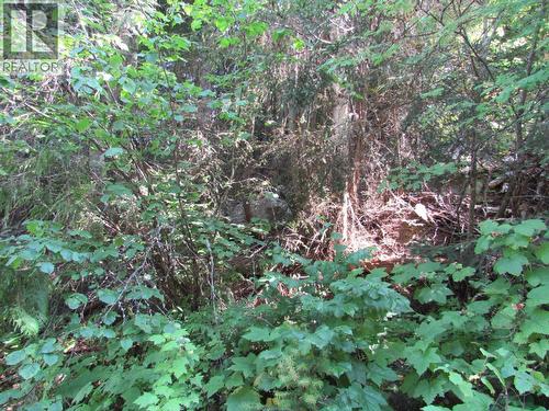 1365 Forest Road, Castlegar, BC 