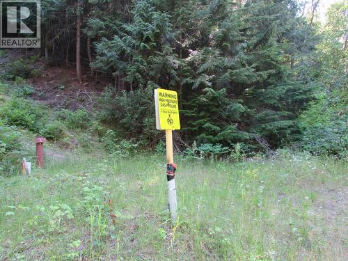 1365 Forest Road, Castlegar, BC 