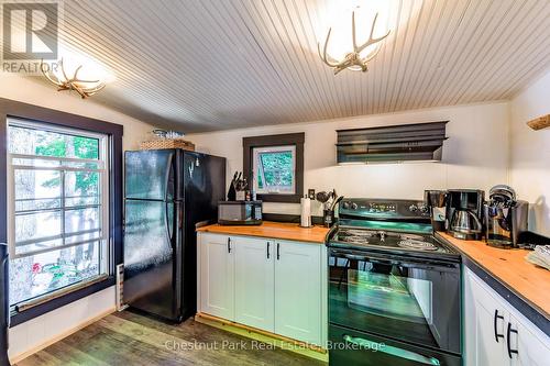 Fully Equipped Outdoor Kitchen - 305 Salmon Lake Road, Seguin, ON - Indoor Photo Showing Kitchen