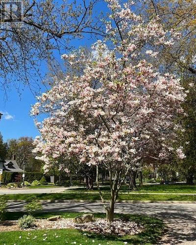 206 Rossmore Boulevard, Burlington, ON - Outdoor With View