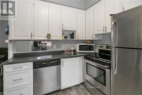 133 Park Row N, Hamilton, ON - Indoor Photo Showing Kitchen With Double Sink