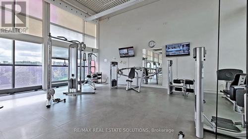 3102 - 33 Singer Court, Toronto, ON - Indoor Photo Showing Gym Room