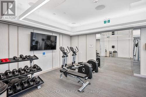 4209 - 115 Blue Jays Way, Toronto, ON - Indoor Photo Showing Gym Room