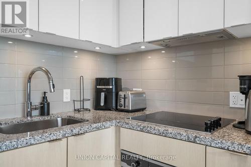 4209 - 115 Blue Jays Way, Toronto, ON - Indoor Photo Showing Kitchen With Upgraded Kitchen