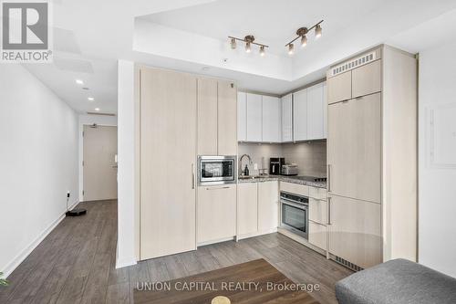4209 - 115 Blue Jays Way, Toronto, ON - Indoor Photo Showing Kitchen