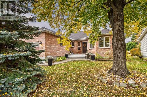 Mature trees and hedges give the lot privacy - 30 Randall James Drive, Ottawa, ON - Outdoor