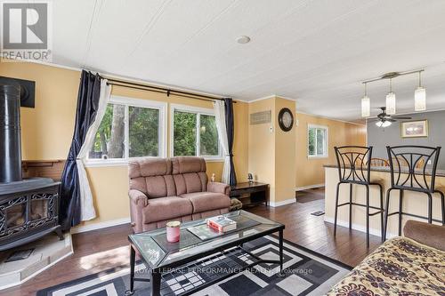1036 Vista Barrett Private, Ottawa, ON - Indoor Photo Showing Living Room