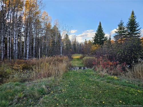 78 Theriault Rd, Middle River, NB 