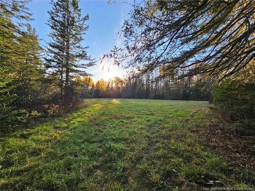 78 Theriault Rd, Middle River, NB 