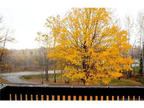 76 Beardsley Rd, Woodstock, NB 