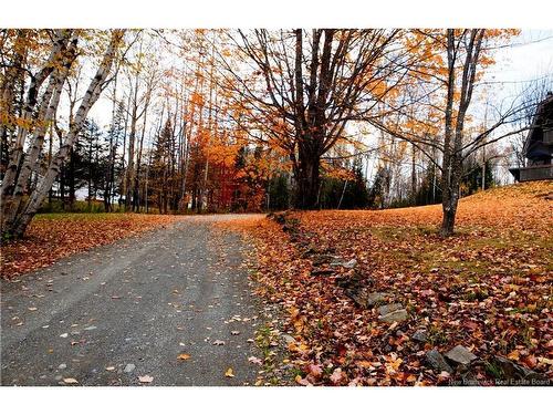 76 Beardsley Rd, Woodstock, NB 