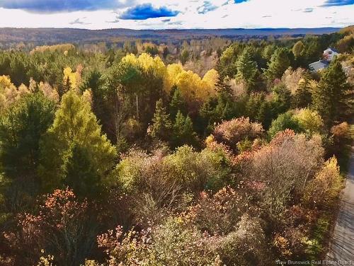 73-17 Tavener Terr, Picadilly, NB 