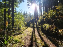 50 Murrelet Close  Sooke, BC V9Z 1K2