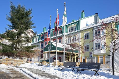 356-3035 Ch. de la Chapelle  Mont-Tremblant, QC J8E 3M8