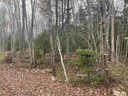 Allen Road  South West Lot 16, PE C0B 1T0