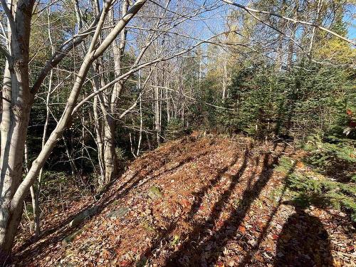 Mosher Road, Conrod Settlement, NS 
