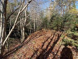 Mosher Road  Conrod Settlement, NS B0J 2L0