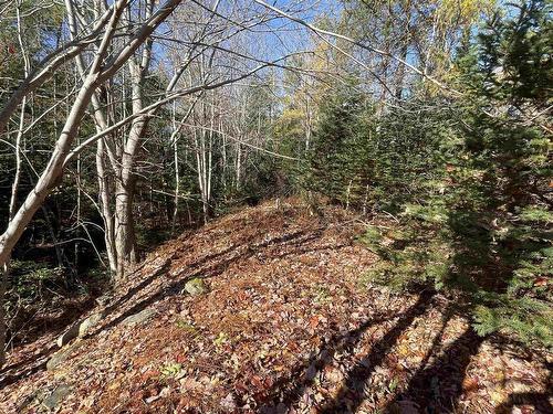 Mosher Road, Conrod Settlement, NS 