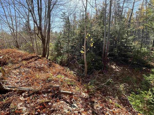 Mosher Road, Conrod Settlement, NS 