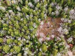 2320 Riverside Road  Green Creek, NS B0N 2J0