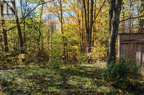 Backs onto Ravine - 665 7Th Street E, Owen Sound, ON - Outdoor
