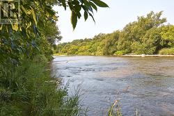 Humber River At Your Doorstep - 