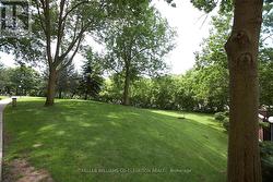 Muskoka In The City - 