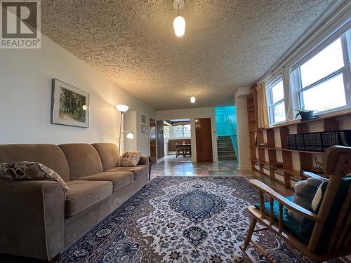 61 Macdonald Drive, Gander, NL - Indoor Photo Showing Living Room