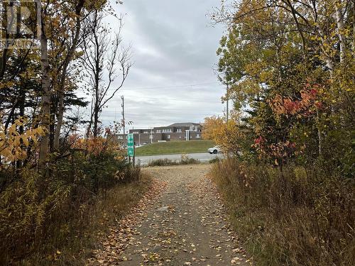 61 Macdonald Drive, Gander, NL - Outdoor With View