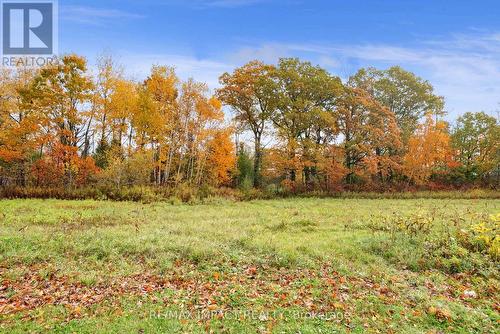 121 Whitehead Road, Alnwick/Haldimand (Grafton), ON - Outdoor