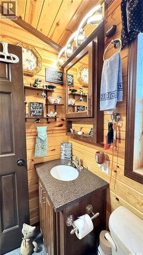 507 Rv Drive, Loreburn Rm No. 254, SK - Indoor Photo Showing Bathroom