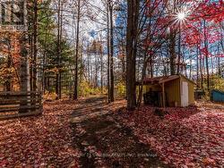 Side yard laneway to second entrance. - 