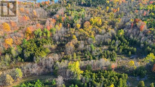 3 Acreman Road, Centre Hastings, ON 