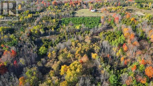 3 Acreman Road, Centre Hastings, ON 