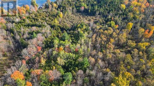 3 Acreman Road, Centre Hastings, ON 