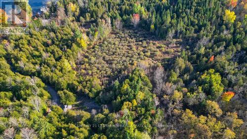 3 Acreman Road, Centre Hastings, ON 