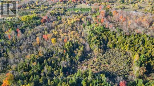 3 Acreman Road, Centre Hastings, ON 