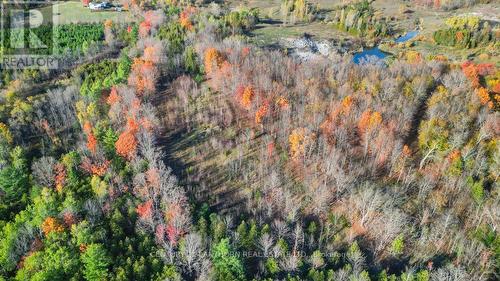 3 Acreman Road, Centre Hastings, ON 