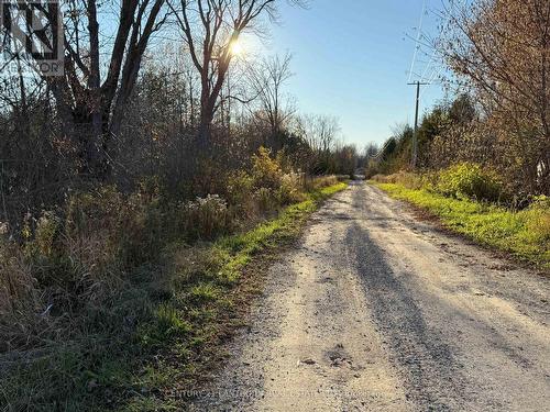 3 Acreman Road, Centre Hastings, ON 