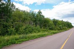 5716 Rte 495  Saint-Fabien, NB E4S 2T2