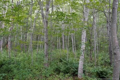 5716 Rte 495, Saint-Fabien, NB 