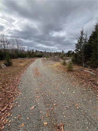 682 Boyd Rd, Elmsville, NB 