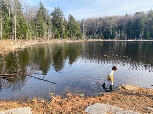 Vue sur l'eau - Rue Allen, Morin-Heights, QC 