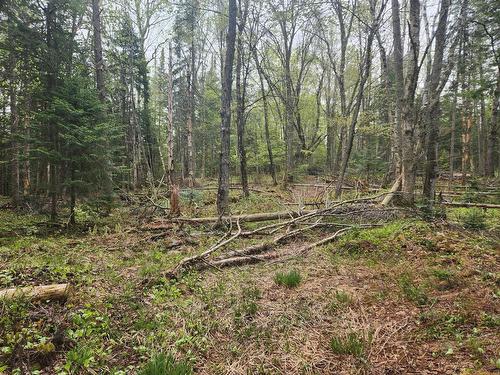 Terre/Terrain - Rue Allen, Morin-Heights, QC 