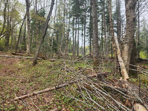 Terre/Terrain - Rue Allen, Morin-Heights, QC 