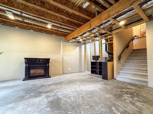 9905 Osprey Landing Drive, Wardner, BC - Indoor Photo Showing Basement