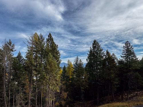 9905 Osprey Landing Drive, Wardner, BC - Outdoor With View