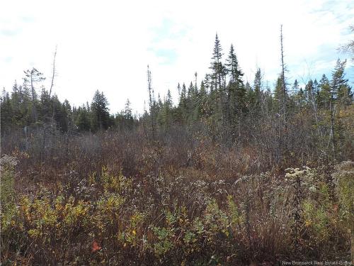 - Old Gardner Creek Rd, Rowley, NB 