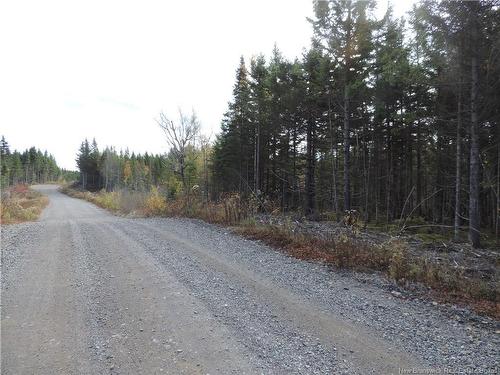 - Old Gardner Creek Rd, Rowley, NB 