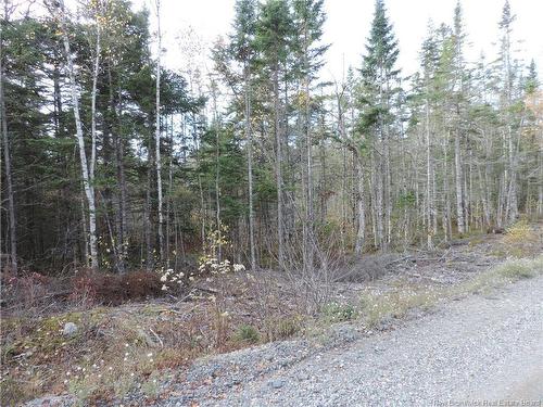 - Old Gardner Creek Rd, Rowley, NB 